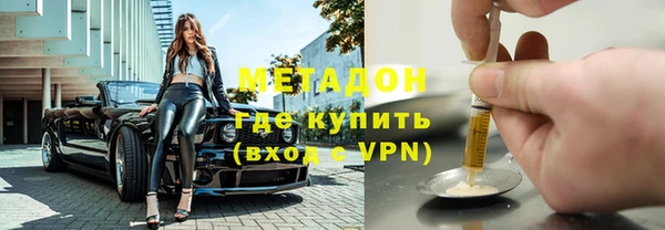 шишки Верея
