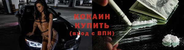 шишки Верея