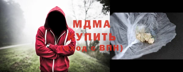 шишки Верея