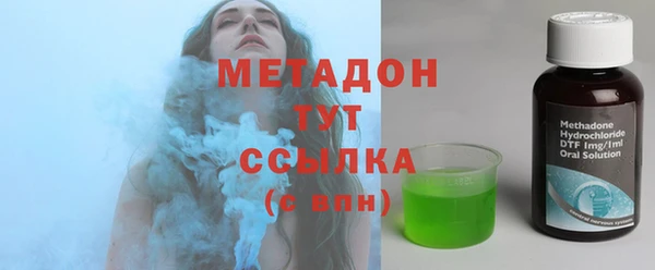 шишки Верея