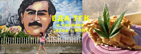 шишки Верея