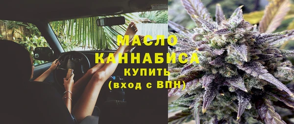 шишки Верея