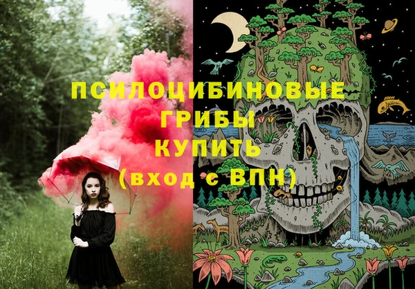 шишки Верея