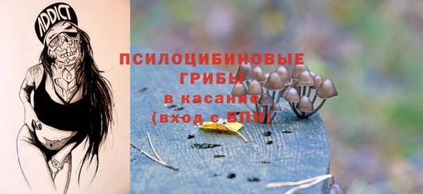 шишки Верея