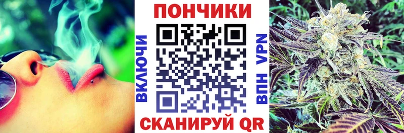 Канабис план  мега маркетплейс  Сургут 